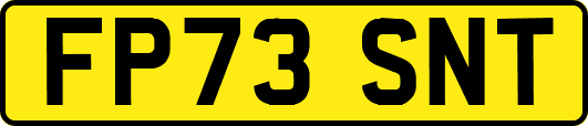 FP73SNT