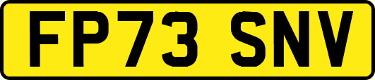 FP73SNV