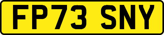 FP73SNY