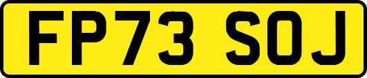 FP73SOJ