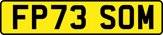 FP73SOM