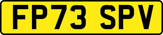 FP73SPV