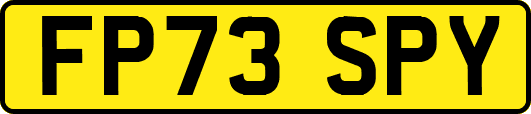 FP73SPY