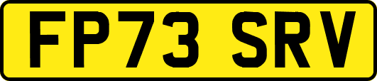 FP73SRV