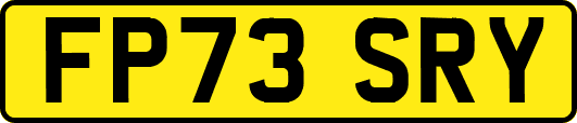 FP73SRY