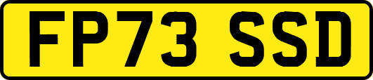 FP73SSD