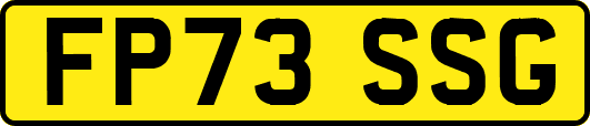 FP73SSG