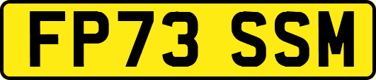 FP73SSM