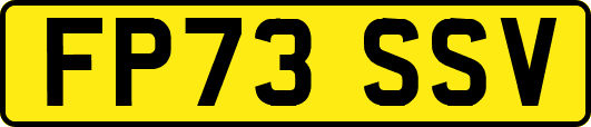 FP73SSV