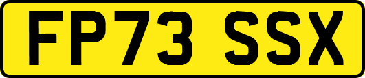 FP73SSX
