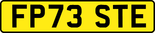 FP73STE