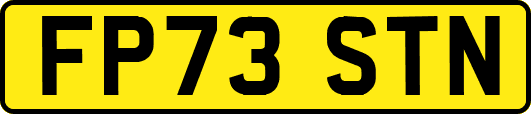 FP73STN