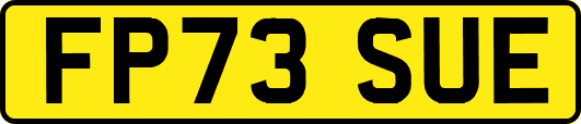 FP73SUE