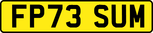 FP73SUM