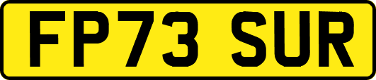 FP73SUR