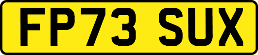 FP73SUX