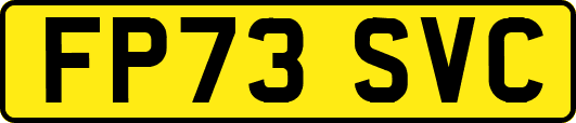 FP73SVC