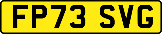 FP73SVG