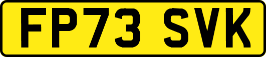 FP73SVK