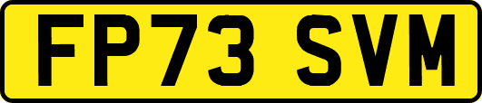 FP73SVM