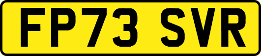 FP73SVR