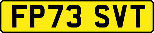 FP73SVT