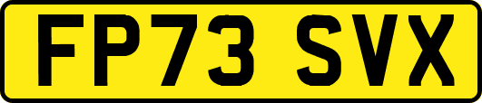 FP73SVX