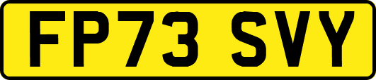 FP73SVY