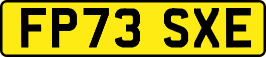 FP73SXE