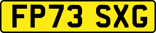 FP73SXG