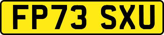 FP73SXU