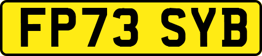 FP73SYB