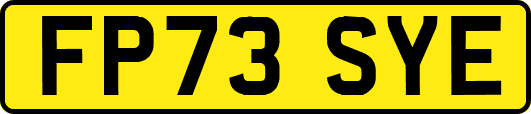 FP73SYE