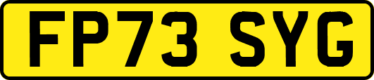 FP73SYG
