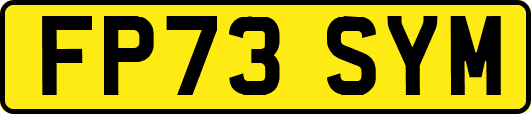 FP73SYM