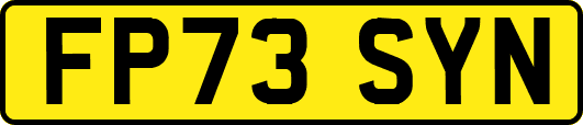 FP73SYN