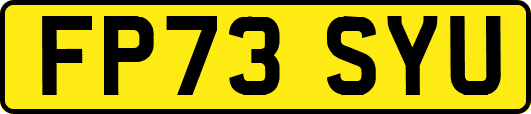 FP73SYU