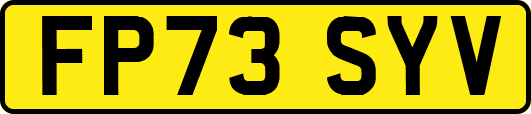 FP73SYV