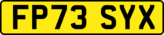 FP73SYX