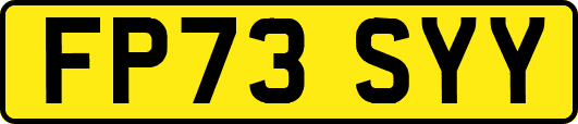 FP73SYY