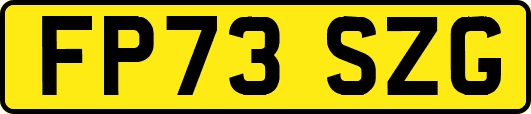 FP73SZG