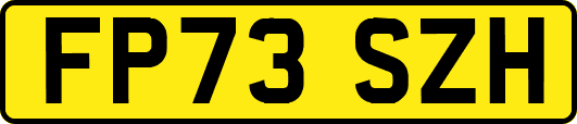 FP73SZH