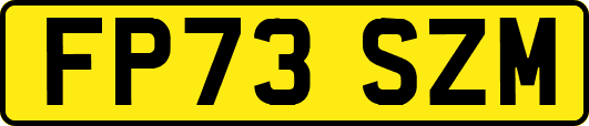 FP73SZM