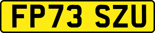 FP73SZU