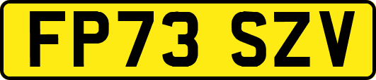 FP73SZV