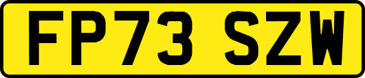 FP73SZW
