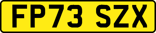 FP73SZX