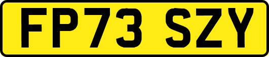 FP73SZY