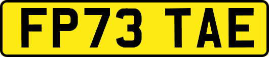 FP73TAE