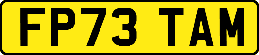 FP73TAM